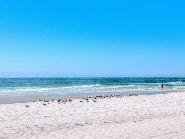 Alabama Beach Areas Home 1025864
