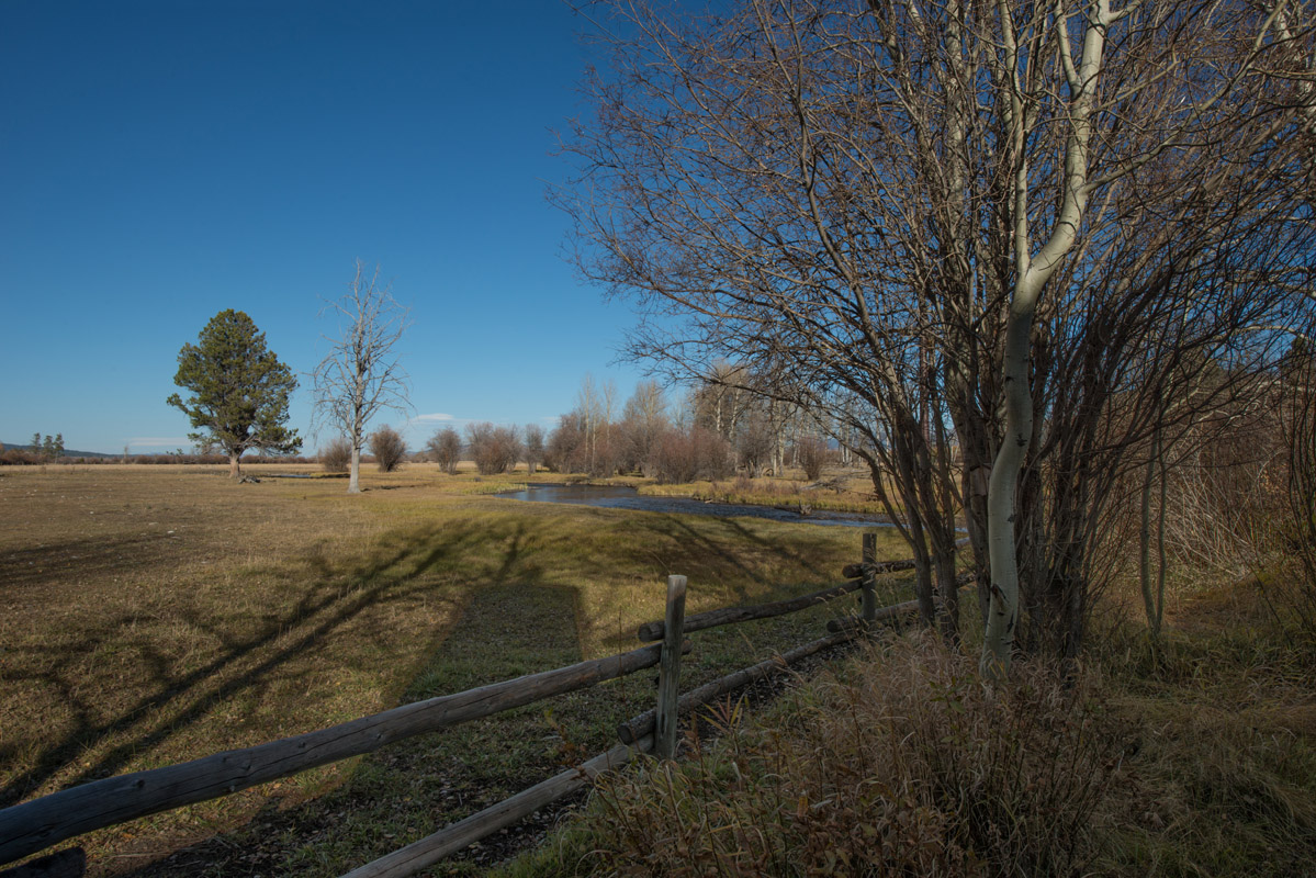 Jackson Hole Wy Condo 1025878