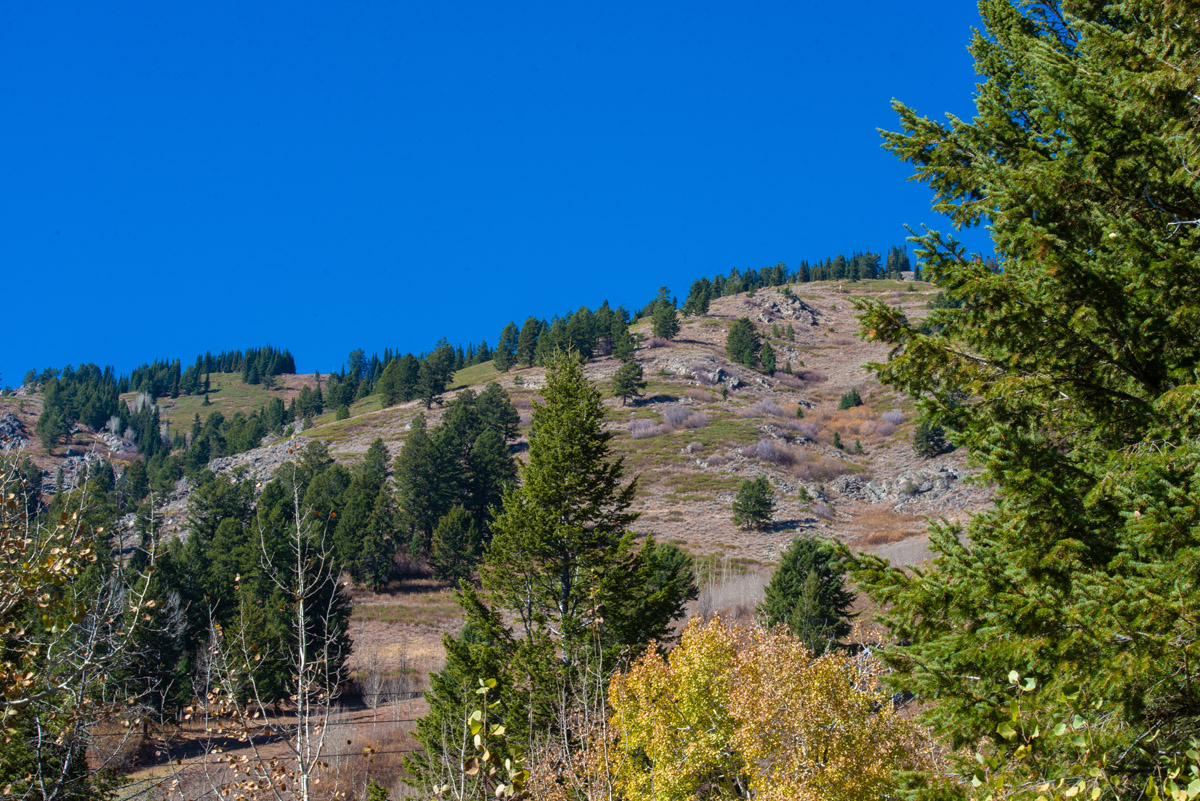 Teton Village area rental