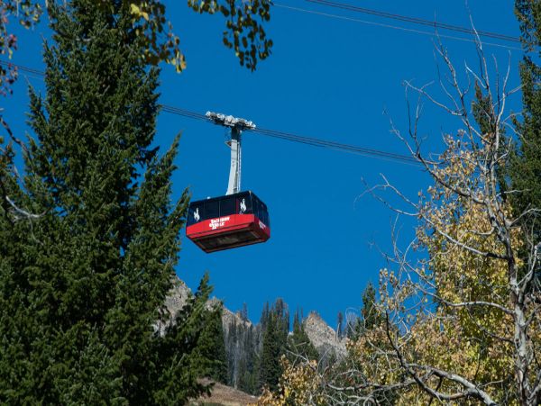 Teton Village area rental