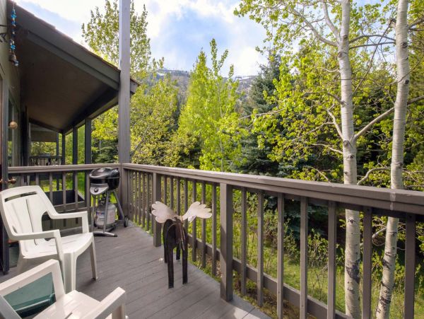 Jackson Hole Wy Condo 1025894