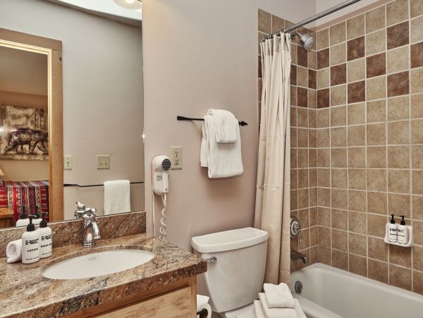 Jackson Hole Wy Condo 1025895