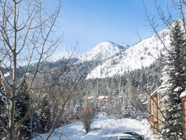 Jackson Hole Wy Condo 1025897