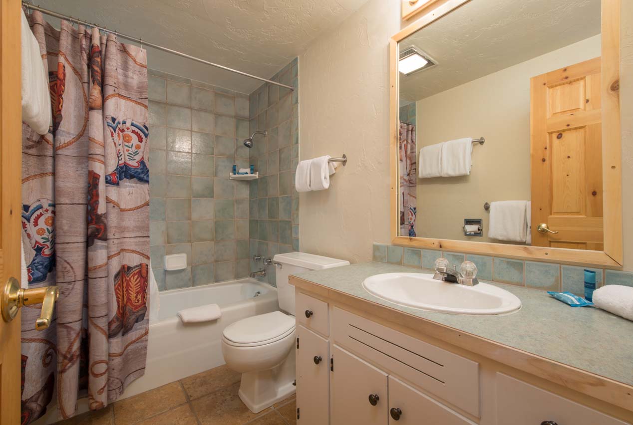 Jackson Hole Wy Condo 1025907