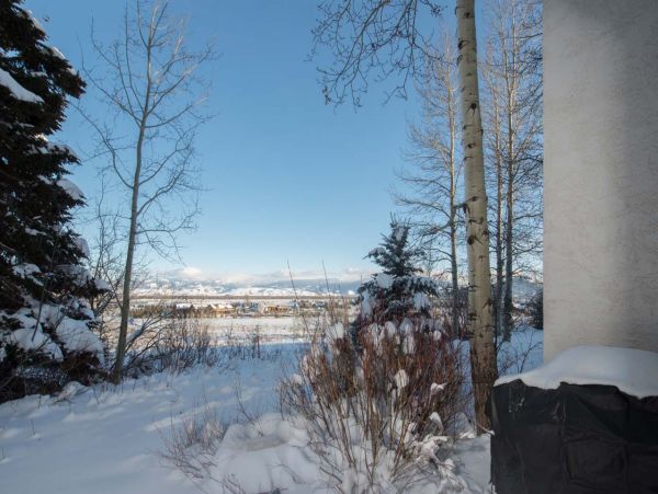 Jackson Hole Wy Condo 1025907