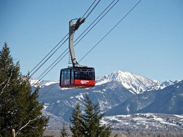 Jackson Hole Wy Condo 1025916
