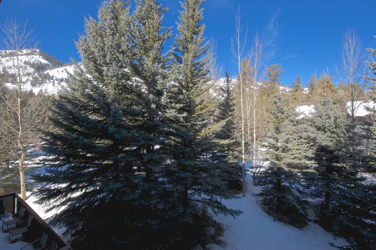 Jackson Hole Wy Home 1025928