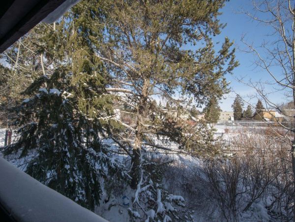 Jackson Hole Wy Condo 1025929