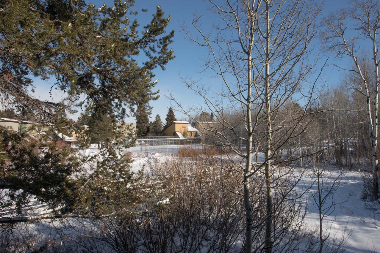 Jackson Hole Wy Condo 1025929
