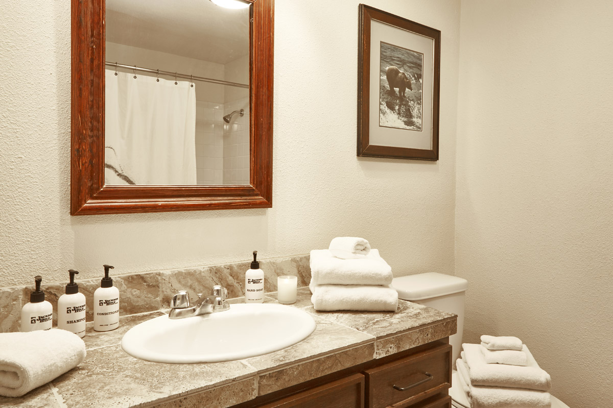 Jackson Hole Wy Condo 1025939