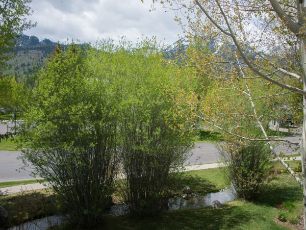Jackson Hole Wy Home 1025948