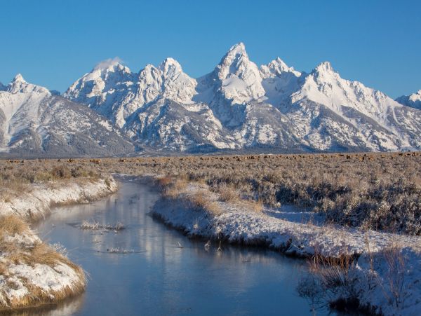 Jackson Hole Wy Condo 1025959