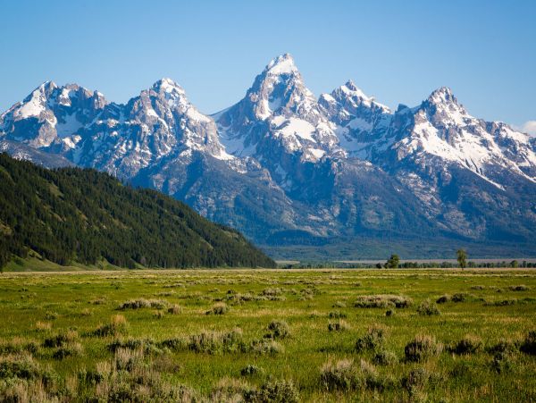 Jackson Hole Wy Condo 1025959