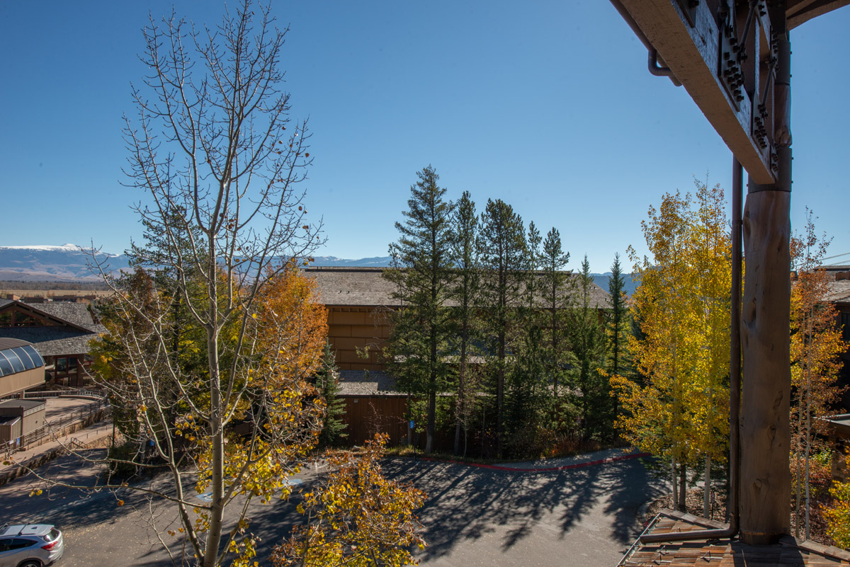 Jackson Hole Wy Condo 1025960