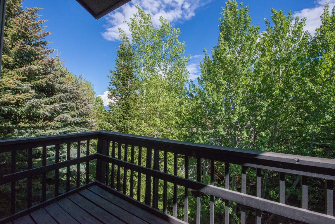Jackson Hole Wy Condo 1025961