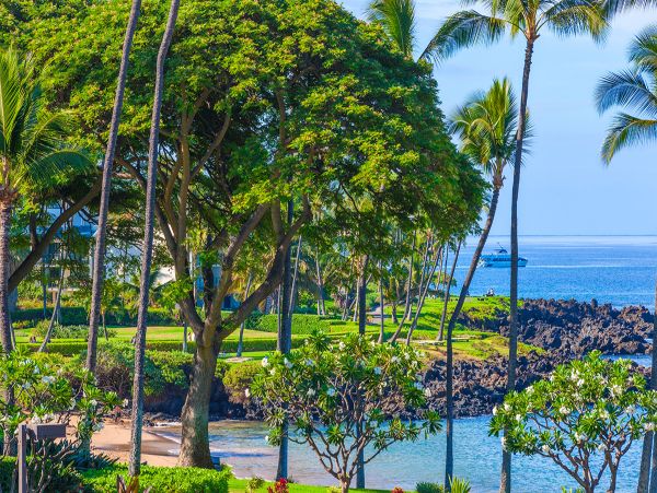 Kihei Home 1025969