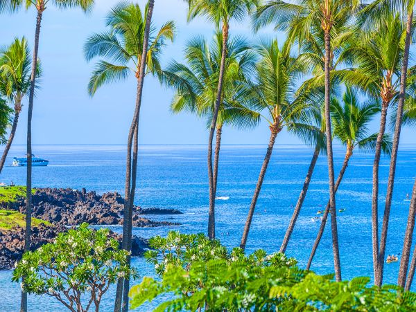 Kihei Home 1025969