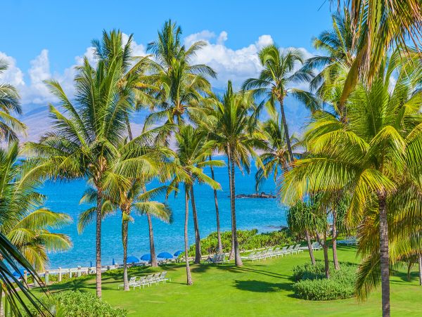 Kihei Home 1025969