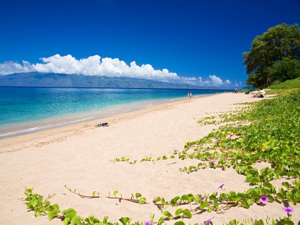 Kihei Home 1025972