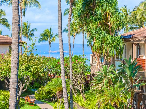 Kihei Home 1025976