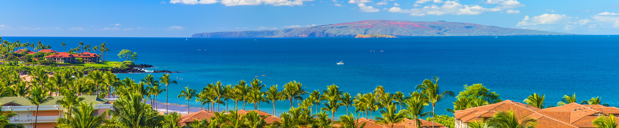 Kihei Home 1025978