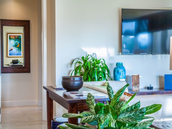 Kihei Home 1025979