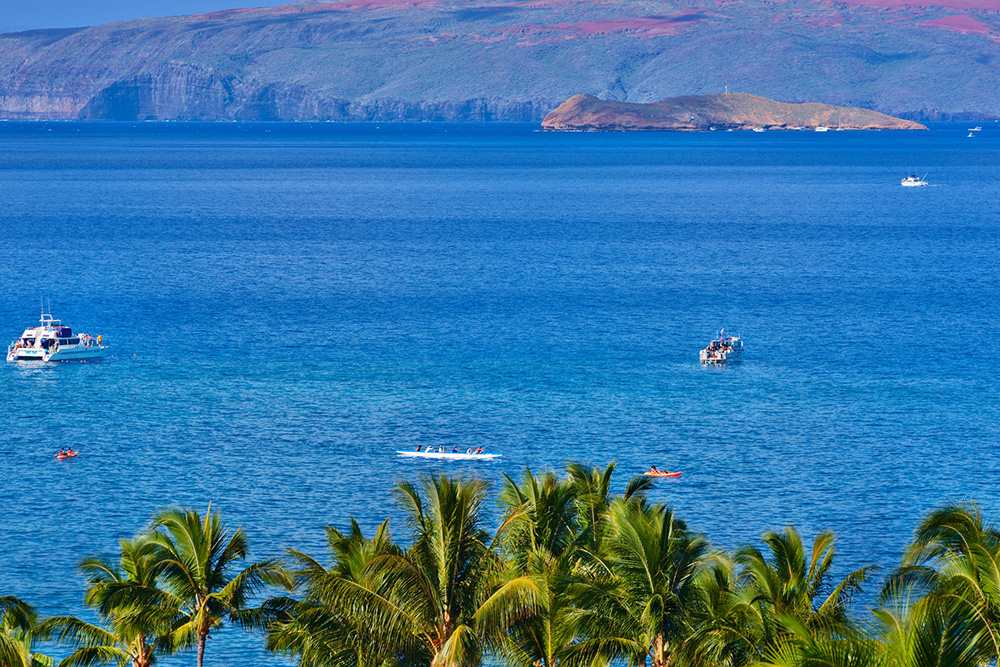 Kihei Home 1025982