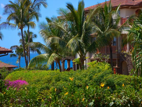 Kihei Home 1025985