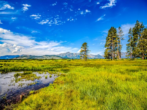 Lake Tahoe South Shore Home 1025995