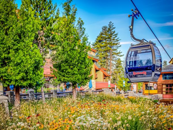 Lake Tahoe South Shore Home 1025995