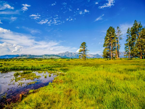 Lake Tahoe South Shore Home 1025999