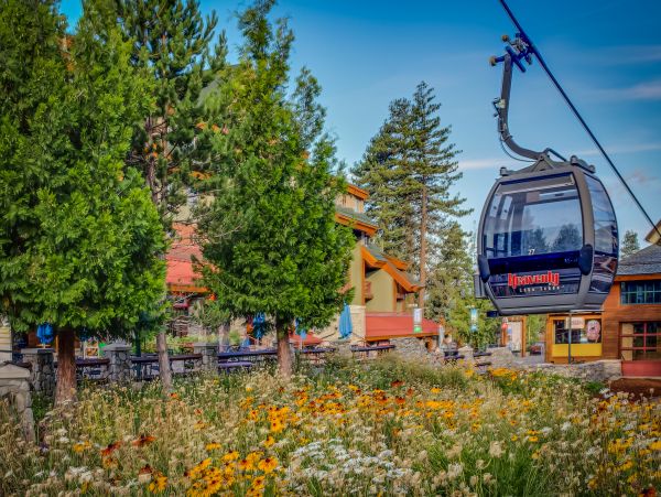 Lake Tahoe South Shore Home 1026016