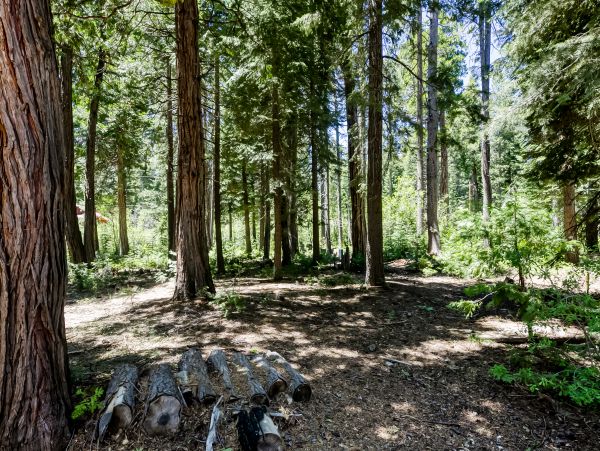 Lake Tahoe South Shore Home 1026019