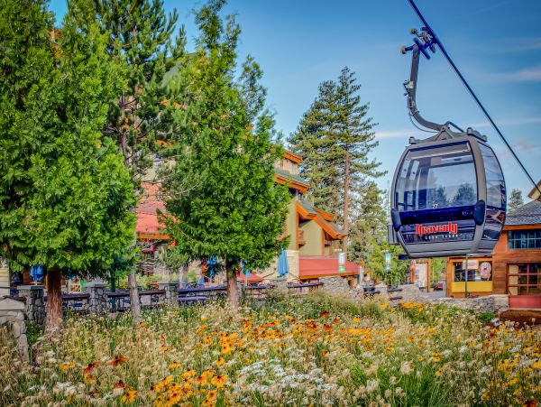 Lake Tahoe South Shore Home 1026036