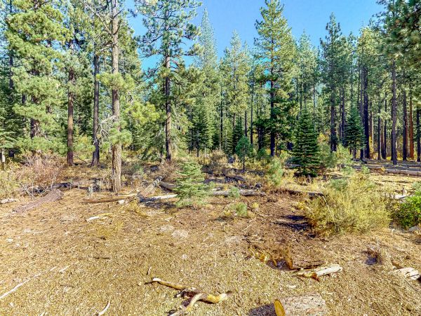 Lake Tahoe South Shore Home 1026043