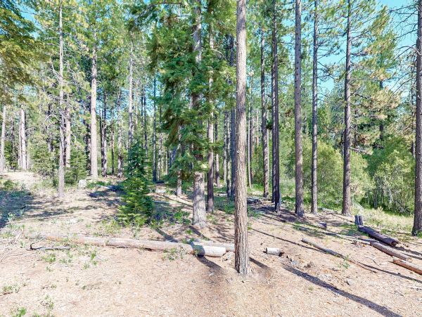 Lake Tahoe South Shore Home 1026045
