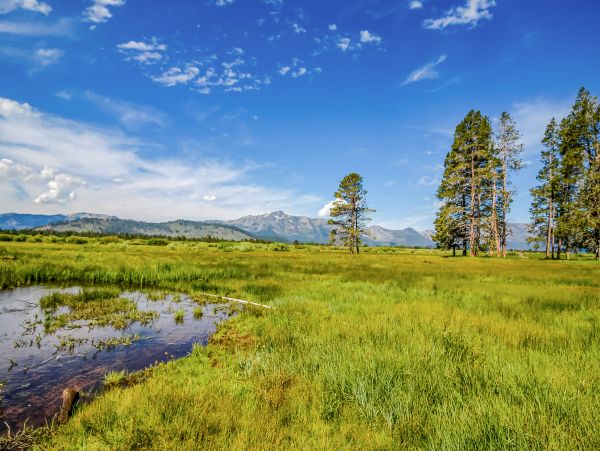 Lake Tahoe South Shore Home 1026051