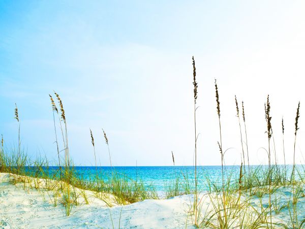 Navarre Beach Home 1026185