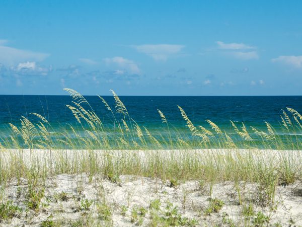 Navarre Beach Home 1026185
