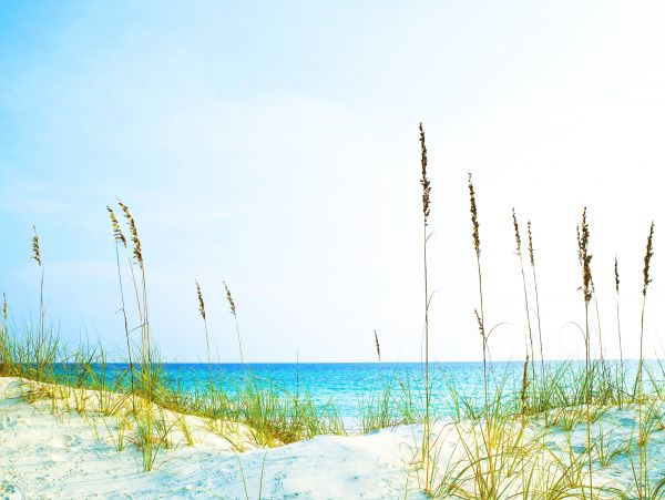 Navarre Beach Home 1026192