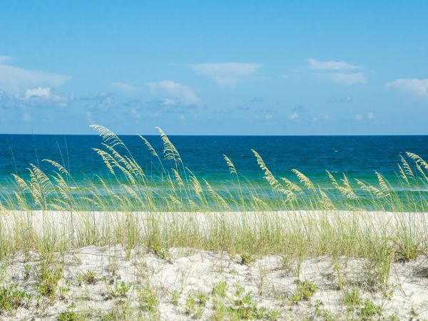 Navarre Beach Home 1026192