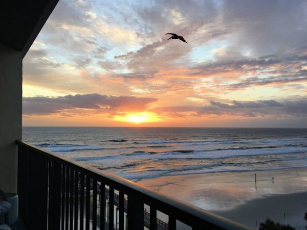 Daytona Beach Condo 1026219