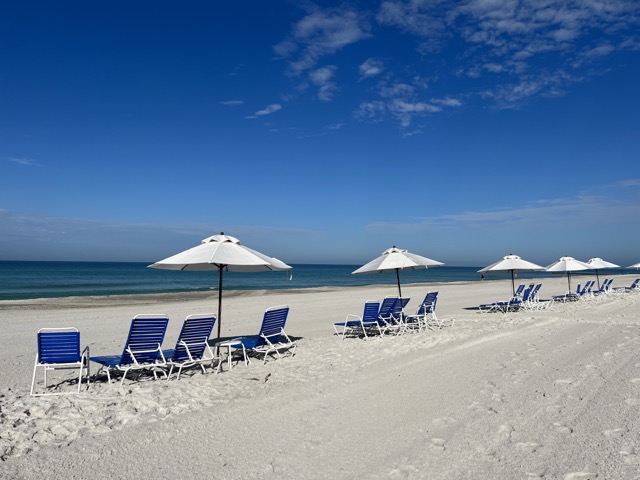 Sarasota Condo 1026230