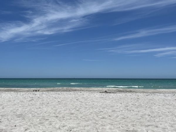 Sarasota Condo 1026230
