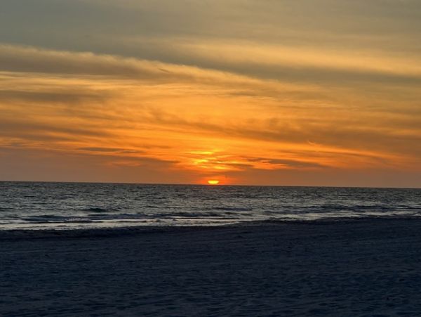 Sarasota Condo 1026230