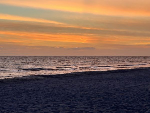Sarasota Condo 1026230