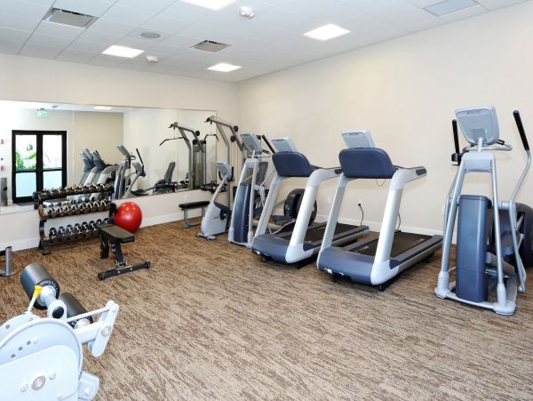 Sarasota Condo 1026230