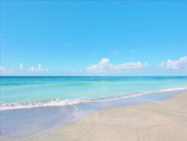 Sarasota Condo 1026233