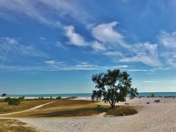 Sarasota Condo 1026233
