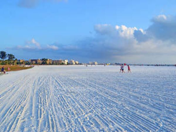 Sarasota Condo 1026236